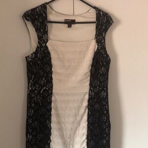 Scarlet Black and White career classy Lace eyelet sheath Dress